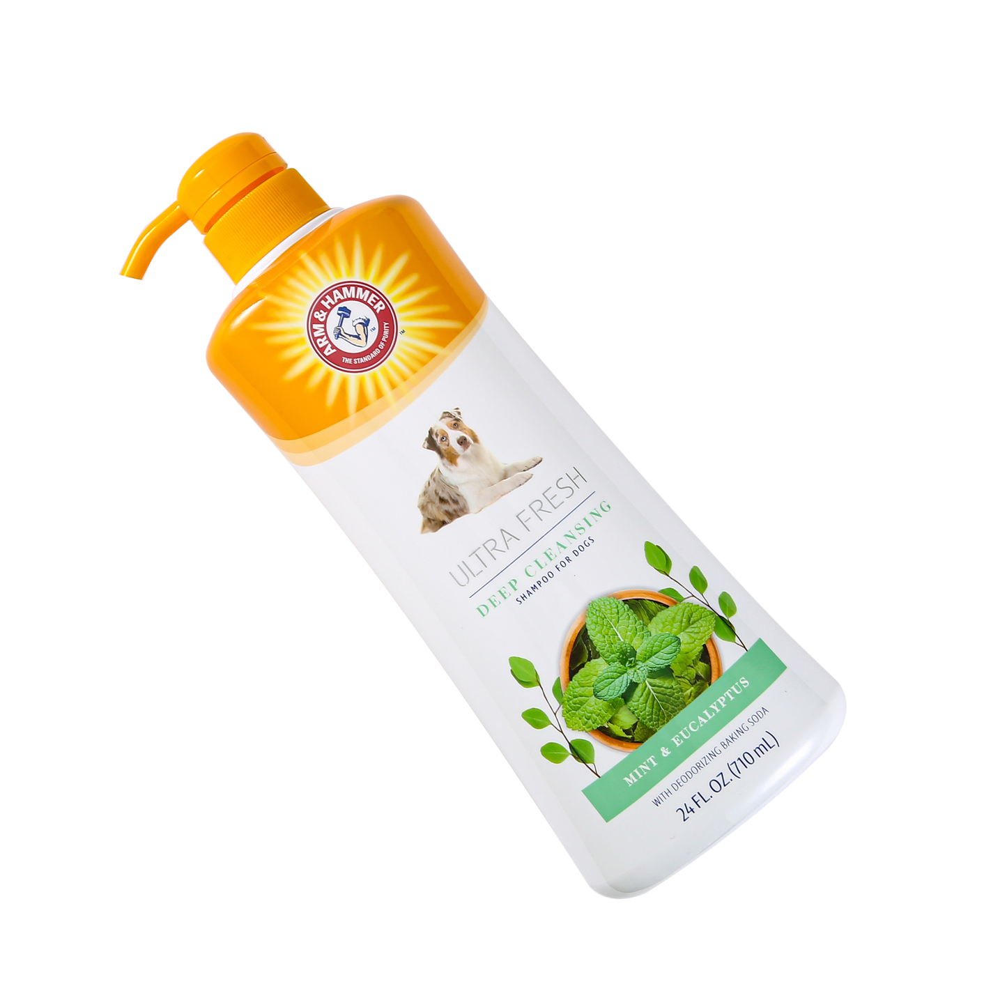 Arm & Hammer Ultra Fresh Deep Cleansing Shampoo with Charcoal - Rosemary Scent (24 oz Value Size)