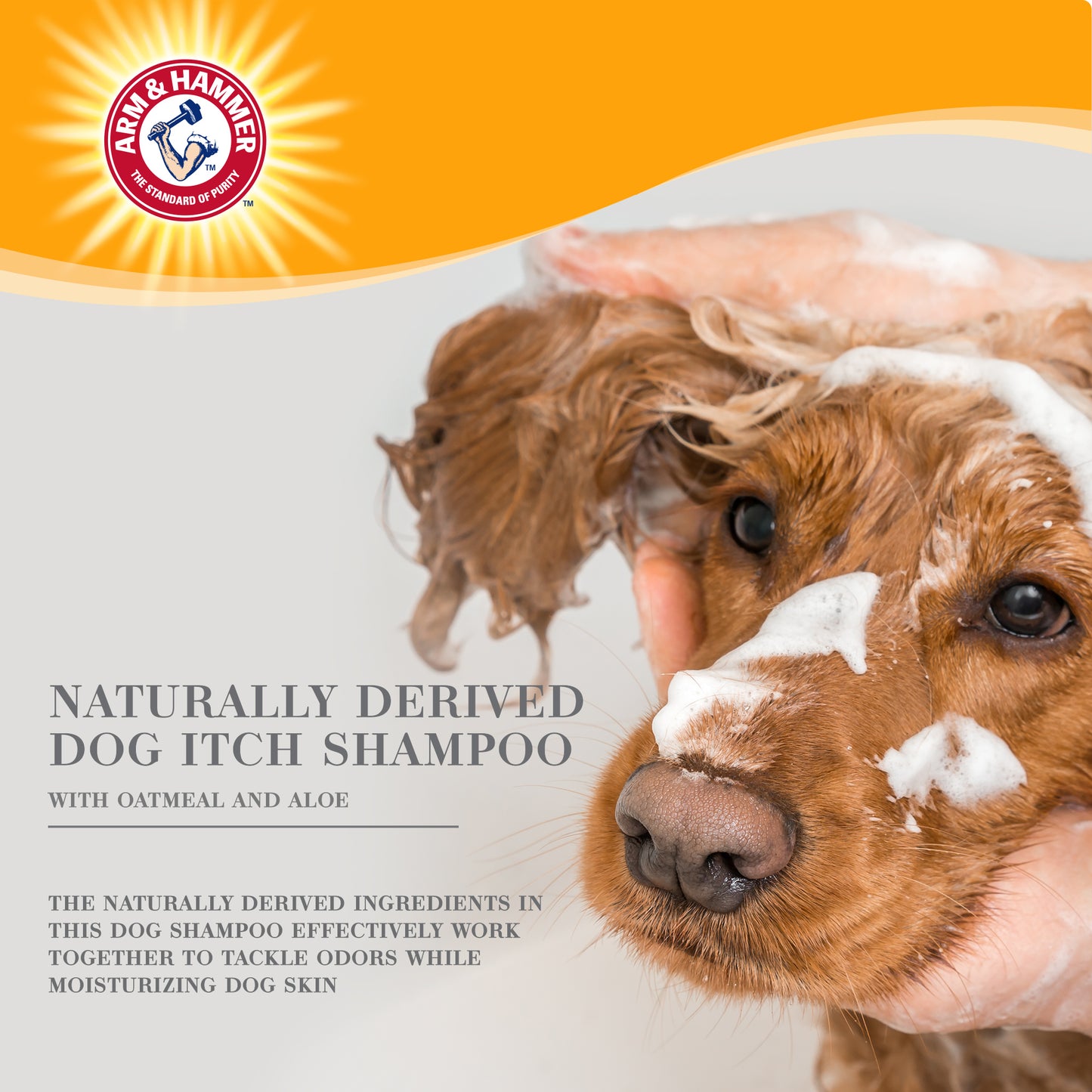 Arm & Hammer Ultra Fresh Deep Cleansing Shampoo with Oatmeal & Aloe - Soothing Formula (24 oz Value Size)