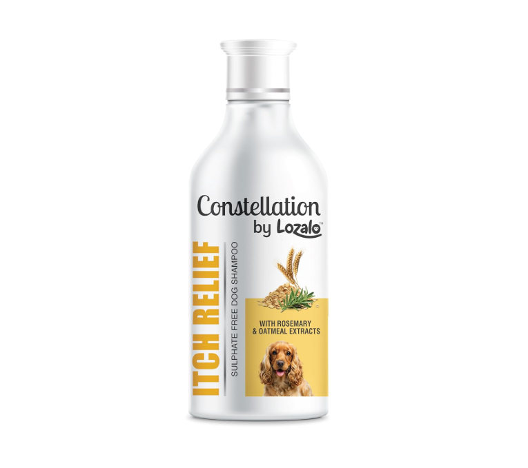 Constellation by Lozalo Itch Relief Shampoo – Rosemary & Oatmeal