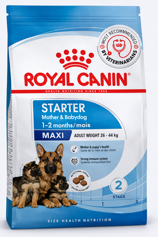Royal Canin Maxi Starter Mother & Babydog (1–2 Months) – 800g