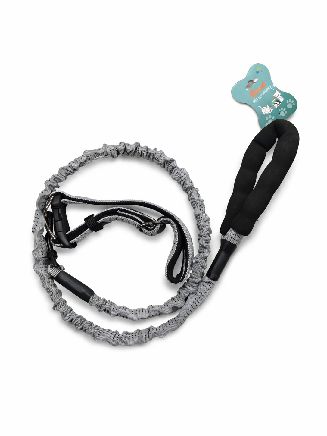Scoobe Doo Multi-Color Nylon Dog Leash – Rainbow