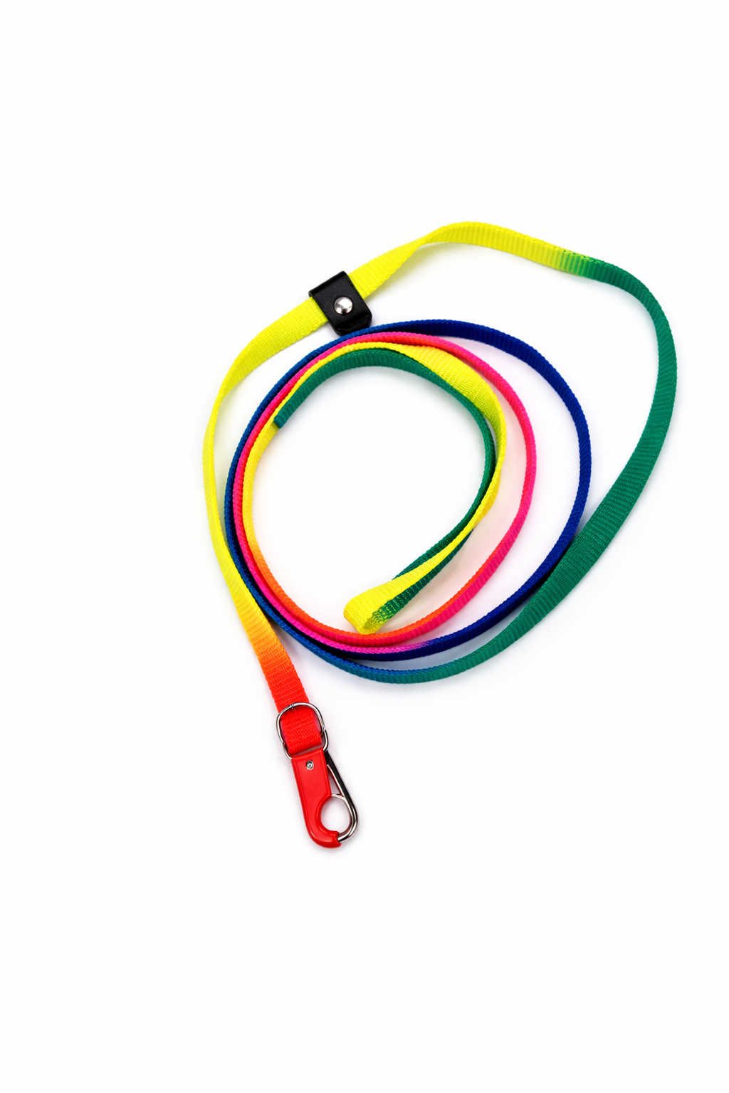 Scoobe Doo Multi-Color Nylon Dog Leash – Rainbow