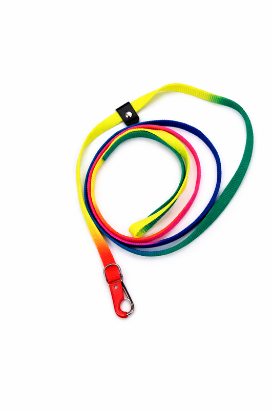 Scoobe Doo Multi-Color Nylon Dog Leash – Rainbow
