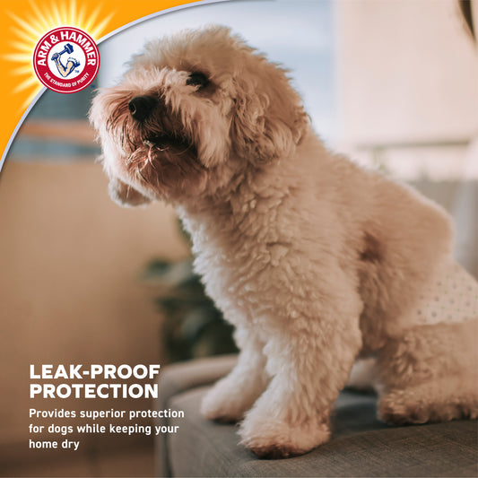 Arm & Hammer Male Dog Wraps - Large Size (12 Count) | Odor Control & Leak Protection
