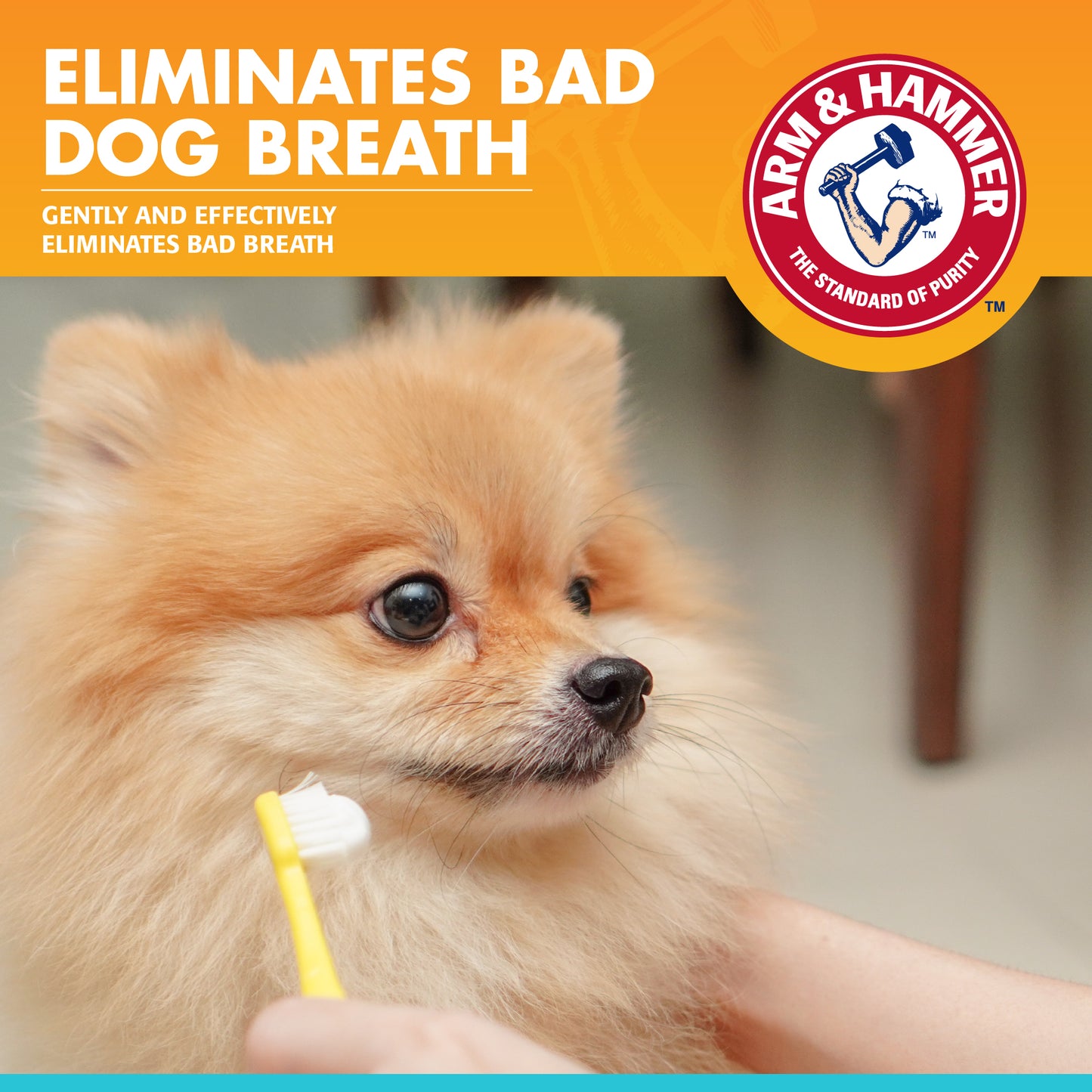 Arm & Hammer Fresh Breath Enzymatic Toothpaste for Dogs - Chicken Flavor (2.5 oz)