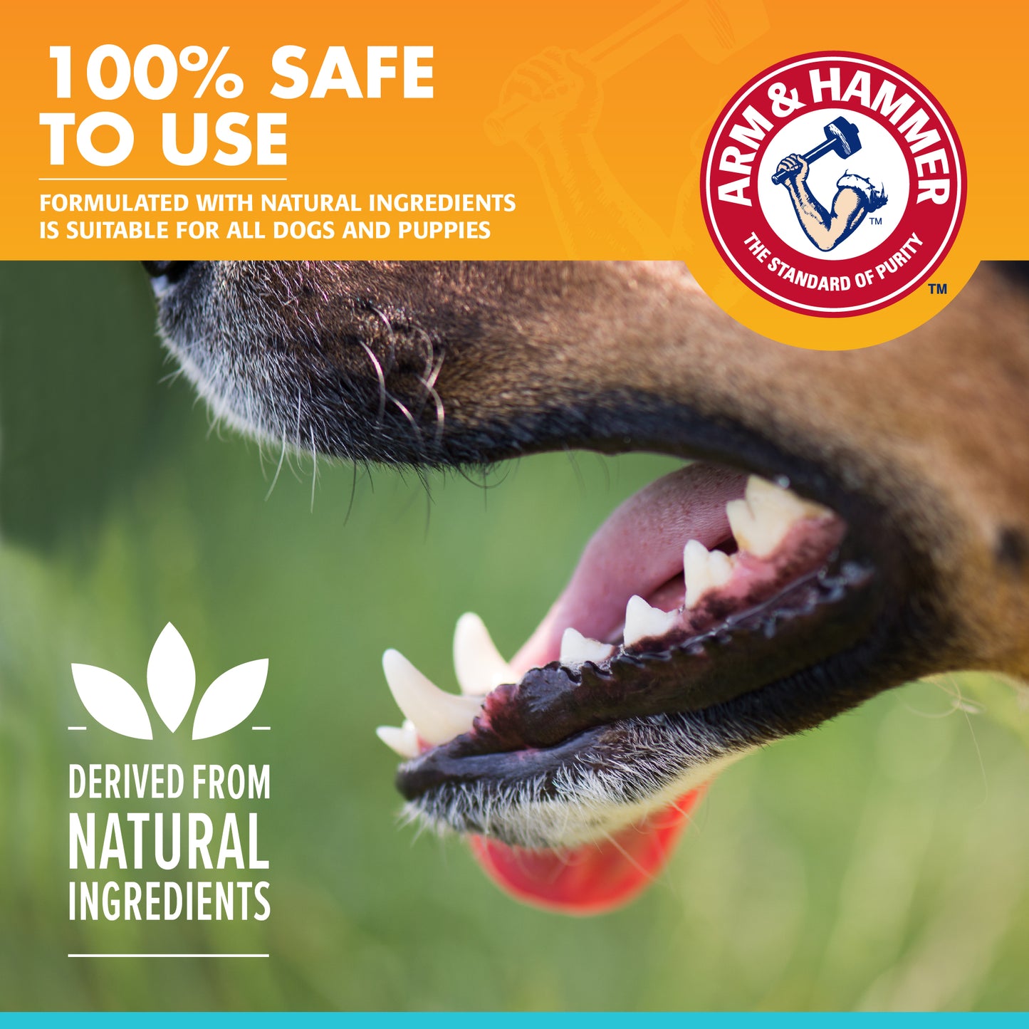 Arm & Hammer Fresh Breath Enzymatic Toothpaste for Dogs - Chicken Flavor (2.5 oz)