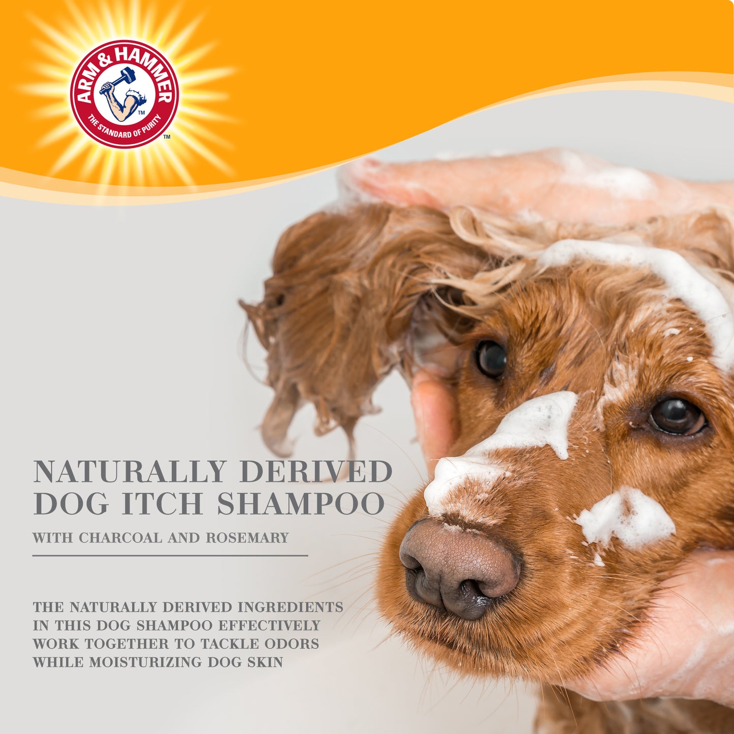 Arm & Hammer Ultra Fresh Deep Cleansing Shampoo with Charcoal - Rosemary Scent (24 oz Value Size)
