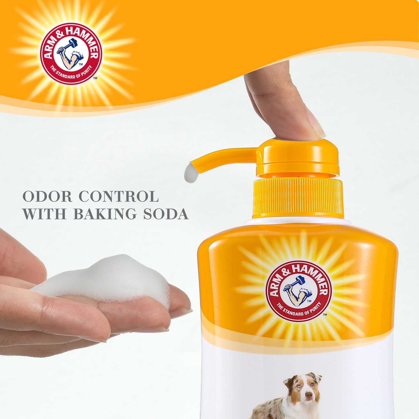 Arm & Hammer Ultra Fresh Deep Cleansing Shampoo with Charcoal - Rosemary Scent (24 oz Value Size)