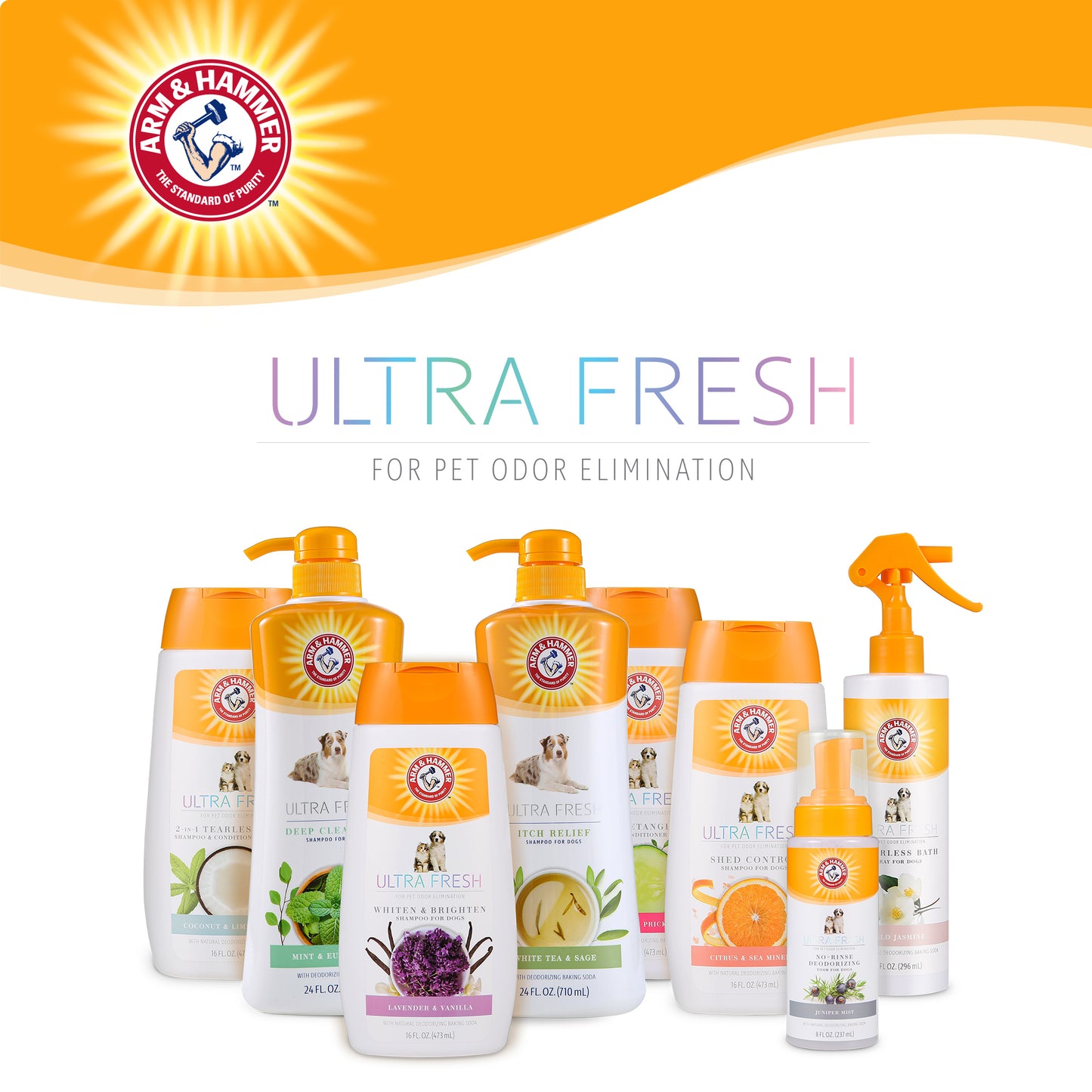 Arm & Hammer Ultra Fresh Deep Cleansing Shampoo with Charcoal - Rosemary Scent (24 oz Value Size)