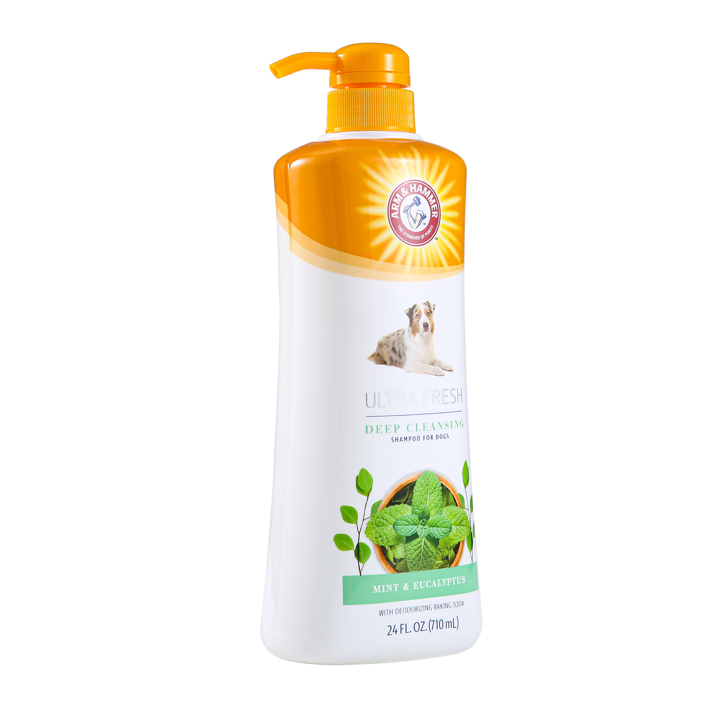 Arm & Hammer Ultra Fresh Deep Cleansing Shampoo with Charcoal - Rosemary Scent (24 oz Value Size)