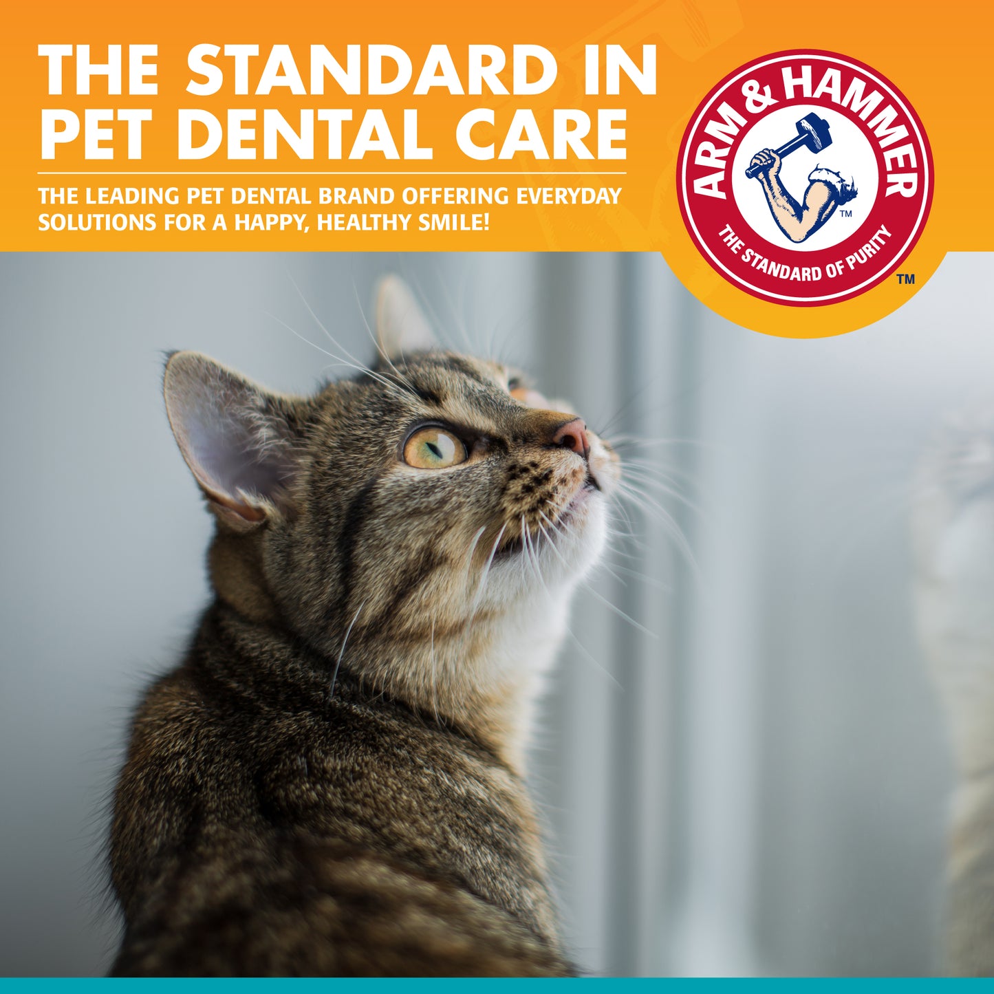 Arm & Hammer Fresh Breath Dental Care Kit for Cats - Tuna Flavor (Toothpaste + Toothbrush + Finger Brush)