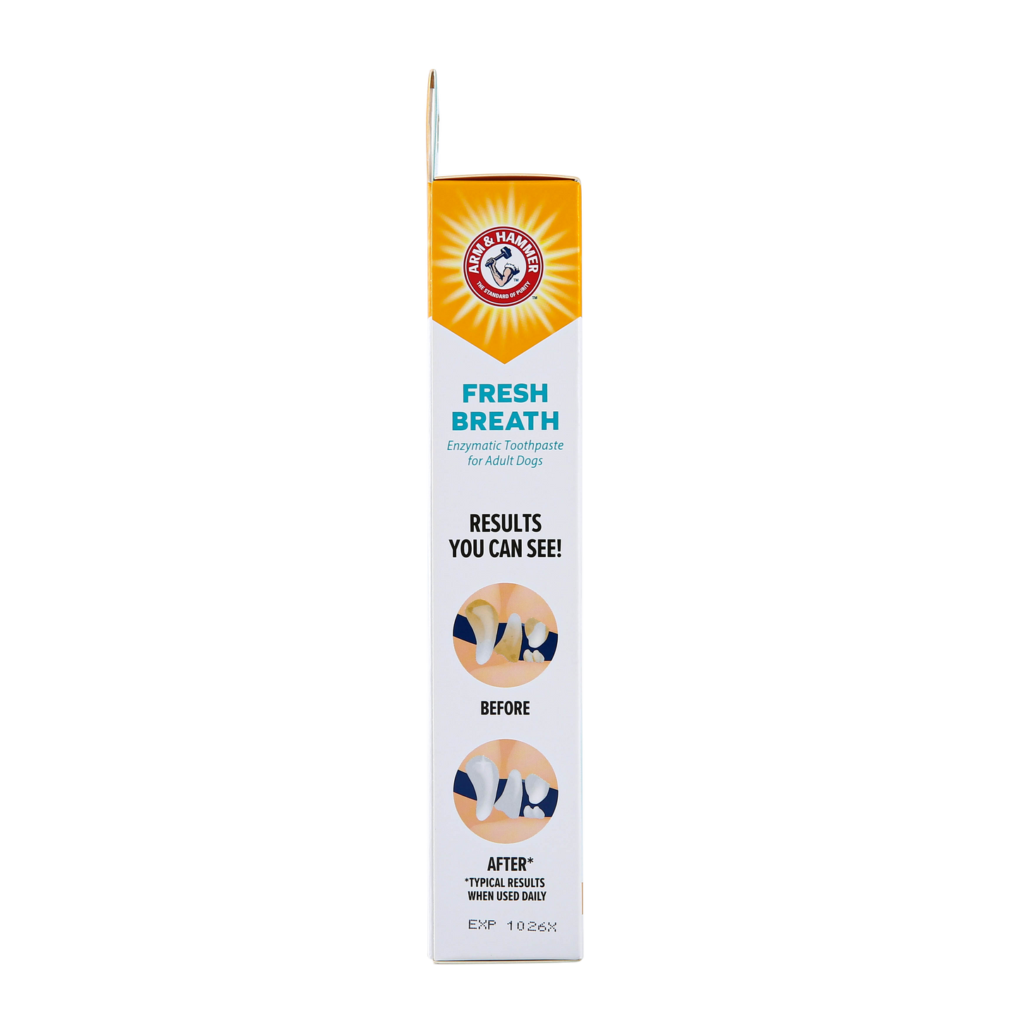 Arm & Hammer Fresh Breath Enzymatic Toothpaste for Dogs - Vanilla Ginger Flavor (2.5 oz)