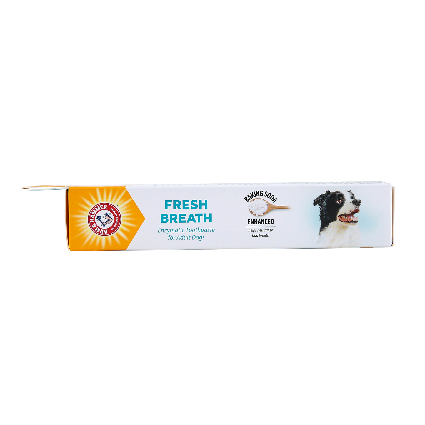 Arm & Hammer Fresh Breath Enzymatic Toothpaste for Dogs - Vanilla Ginger Flavor (2.5 oz)