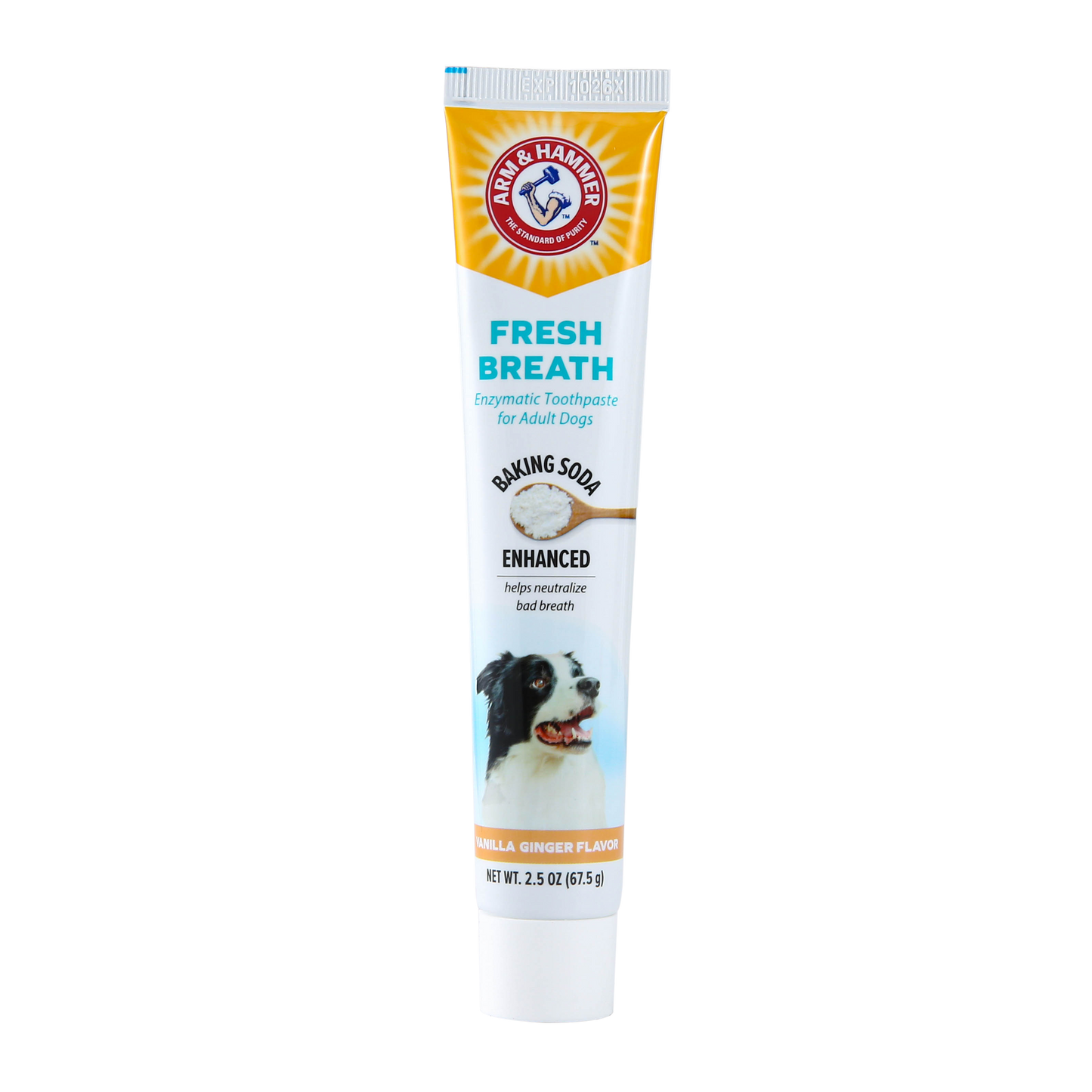 Arm & Hammer Fresh Breath Enzymatic Toothpaste for Dogs - Vanilla Ginger Flavor (2.5 oz)