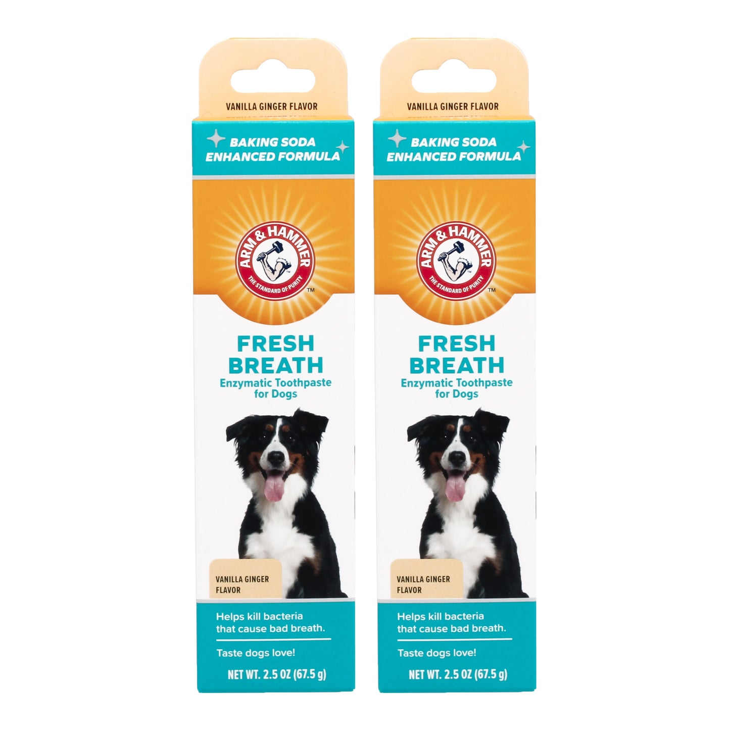 Arm & Hammer Fresh Breath Enzymatic Toothpaste for Dogs - Vanilla Ginger Flavor (2.5 oz)