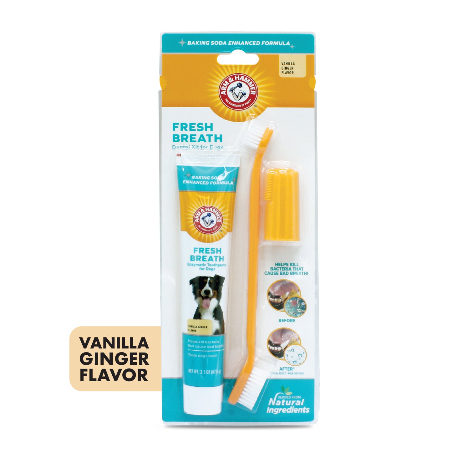 Arm & Hammer Complete Dental Care Kit for Dogs - Vanilla Ginger Flavor (Toothpaste + Toothbrush + Finger Brush)