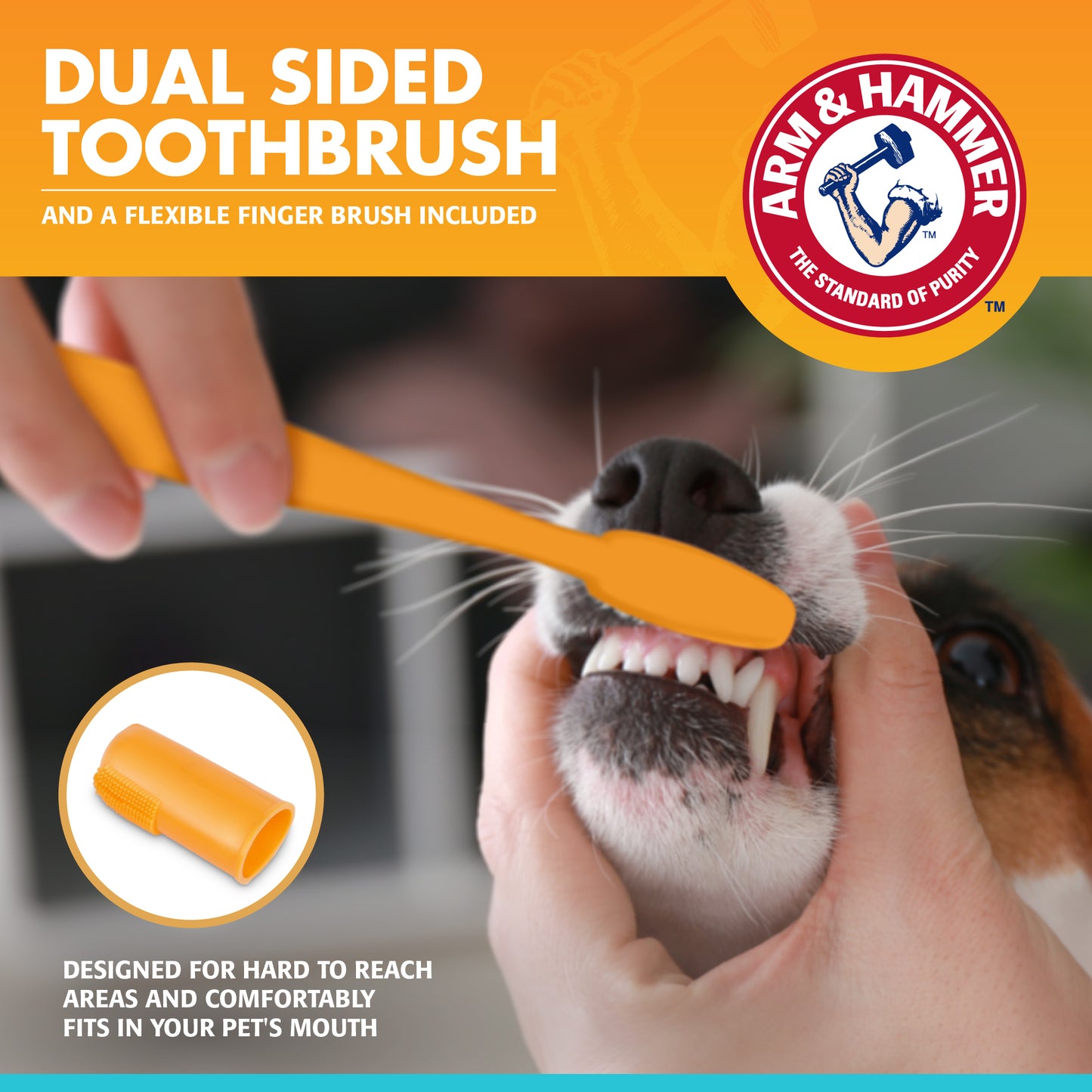 Arm & Hammer Complete Dental Care Kit for Dogs - Vanilla Ginger Flavor (Toothpaste + Toothbrush + Finger Brush)