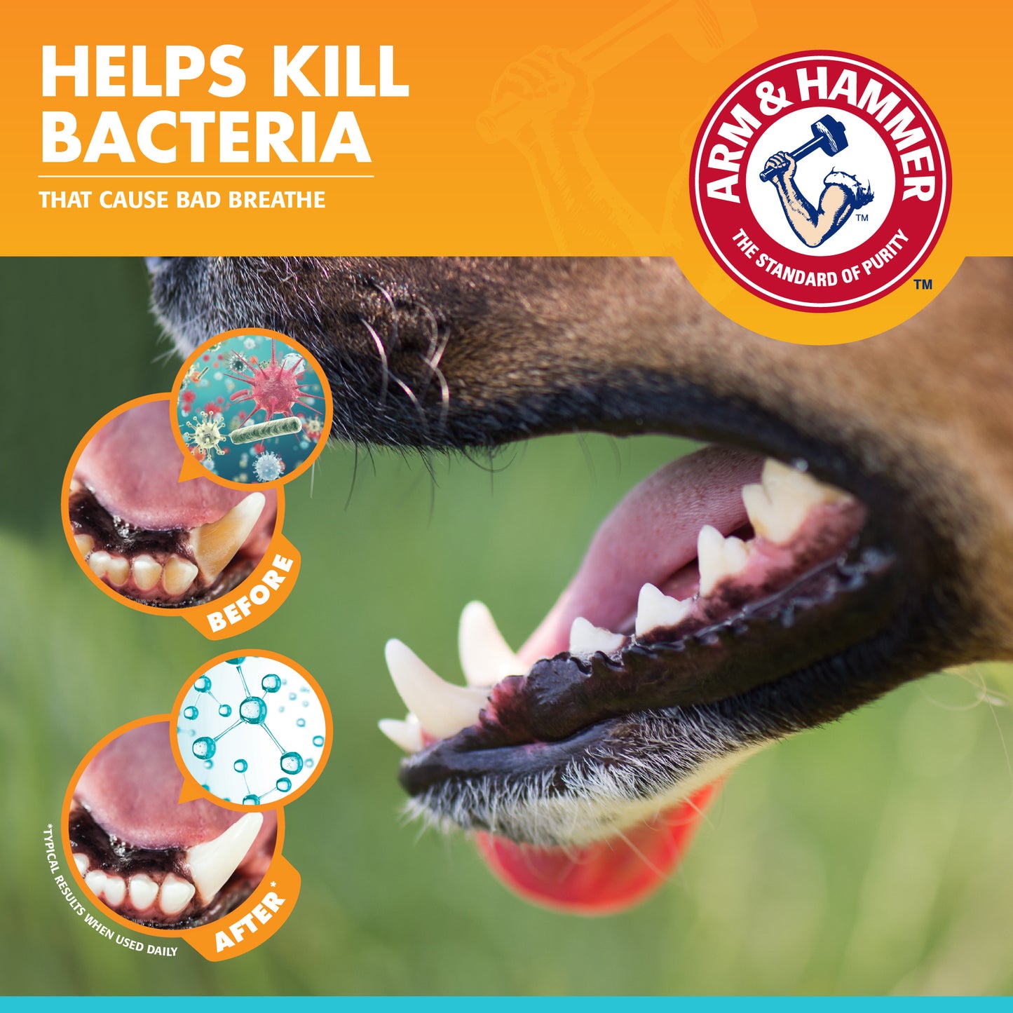 Arm & Hammer Complete Dental Care Kit for Dogs - Vanilla Ginger Flavor (Toothpaste + Toothbrush + Finger Brush)