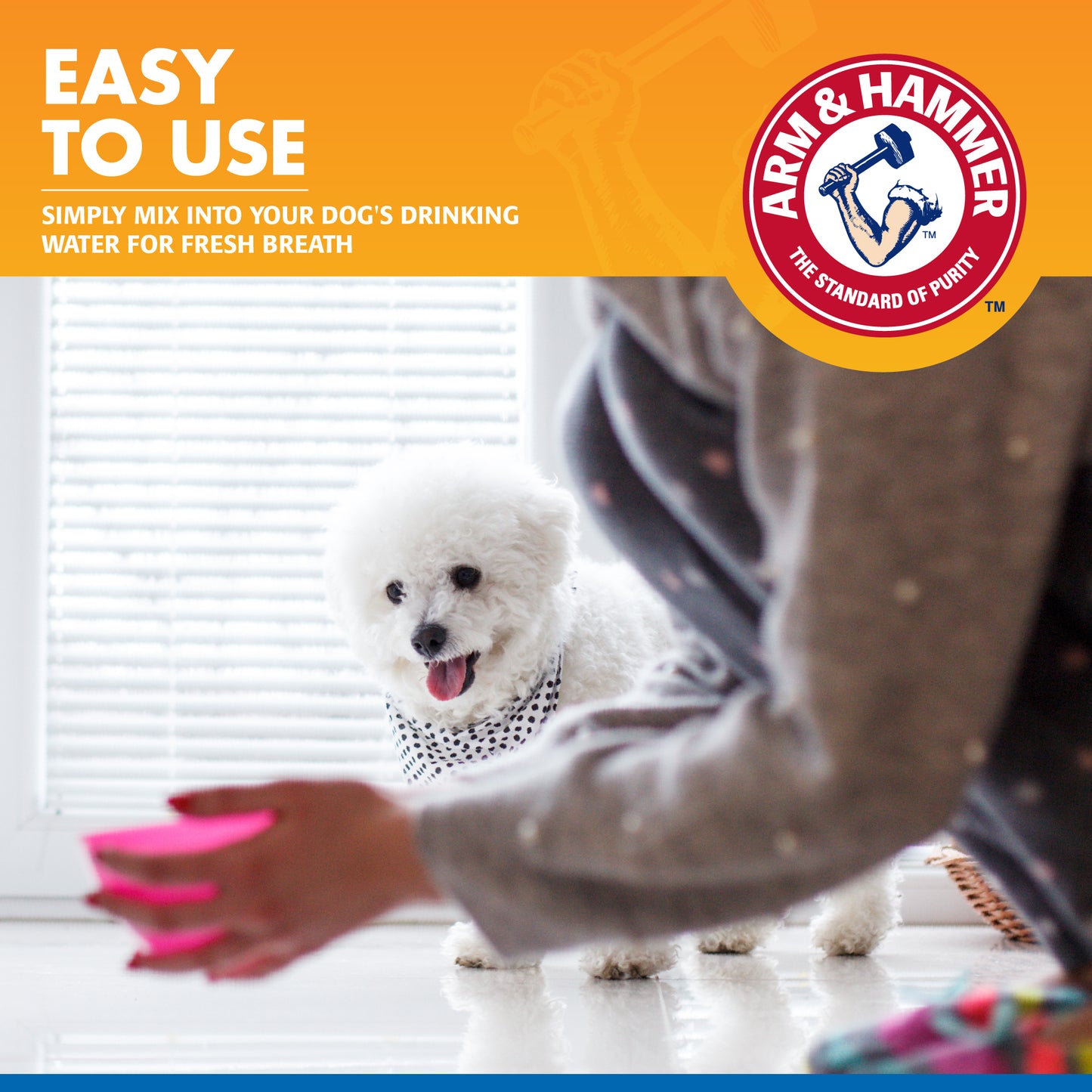 Arm & Hammer Tartar Control Dental Rinse Water Additive for Dogs - Flavorless (16 oz)