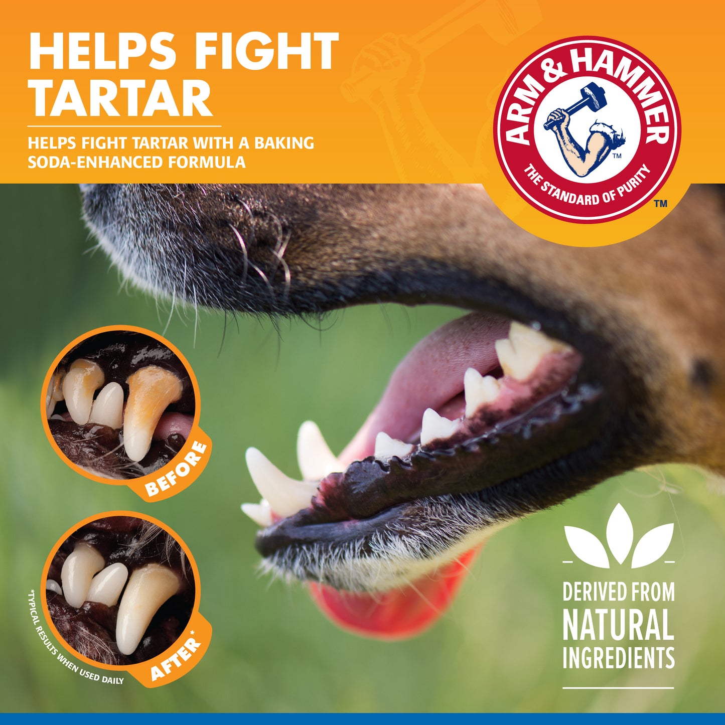 Arm & Hammer Tartar Control Dental Rinse Water Additive for Dogs - Flavorless (16 oz)