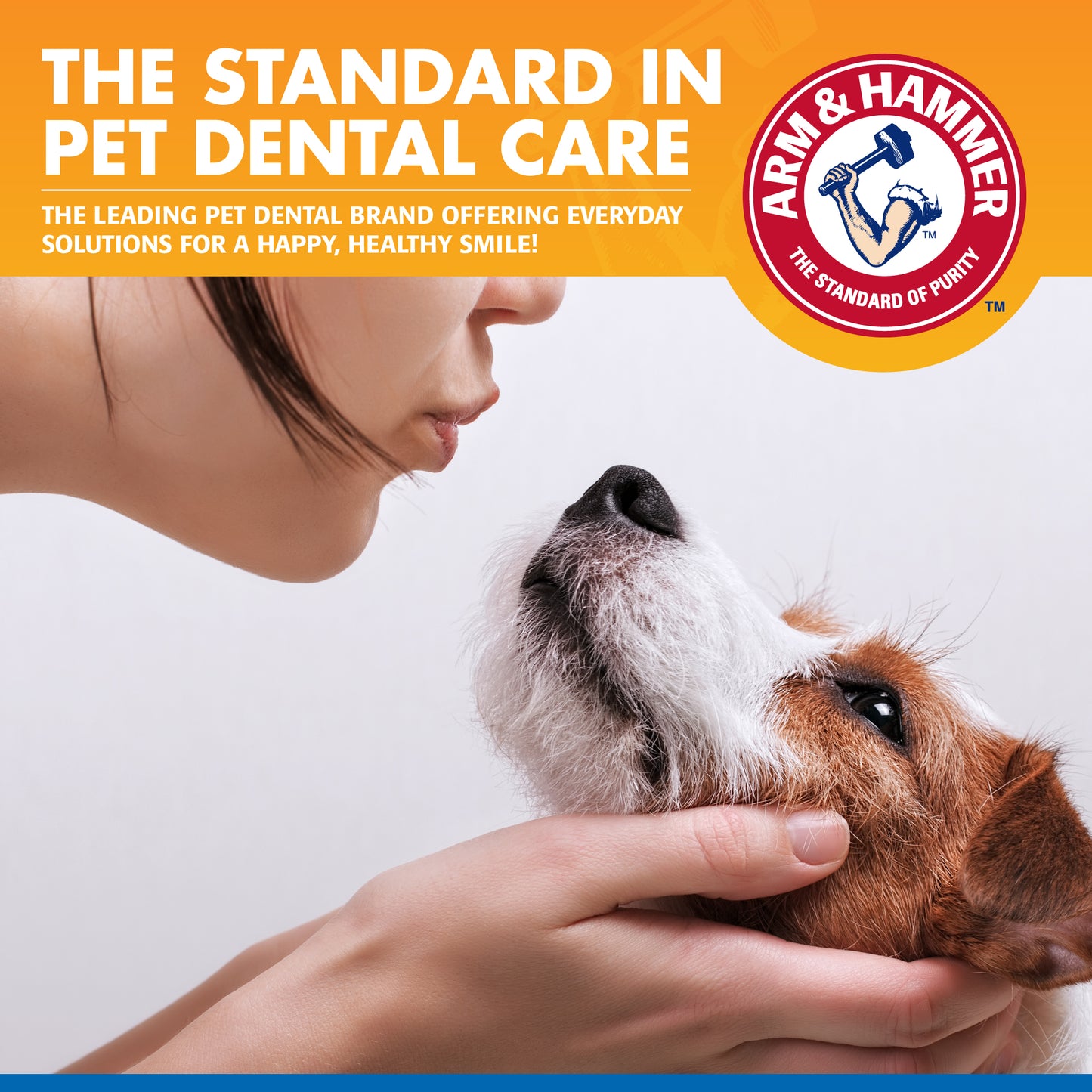 Arm & Hammer Tartar Control Dental Rinse Water Additive for Dogs - Flavorless (16 oz)