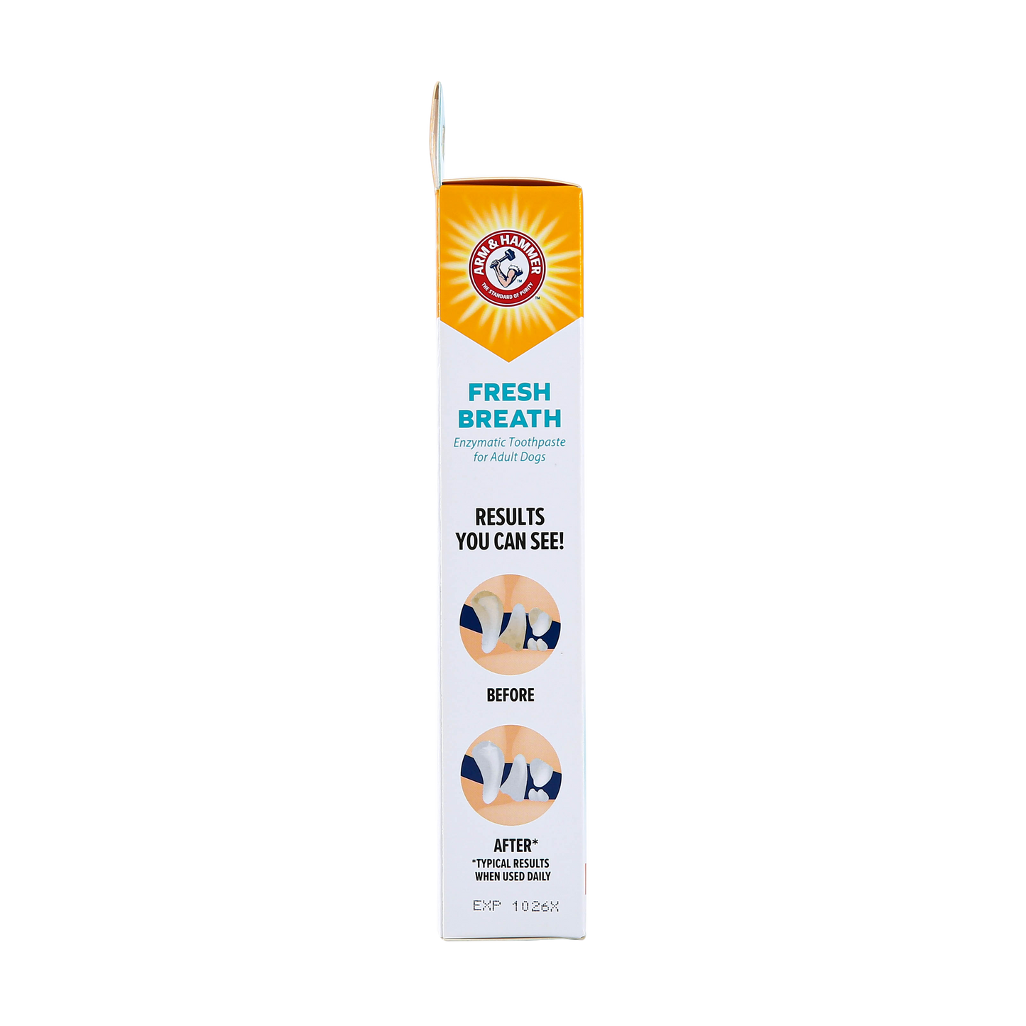 Arm & Hammer Fresh Breath Enzymatic Toothpaste for Dogs - Chicken Flavor (2.5 oz)