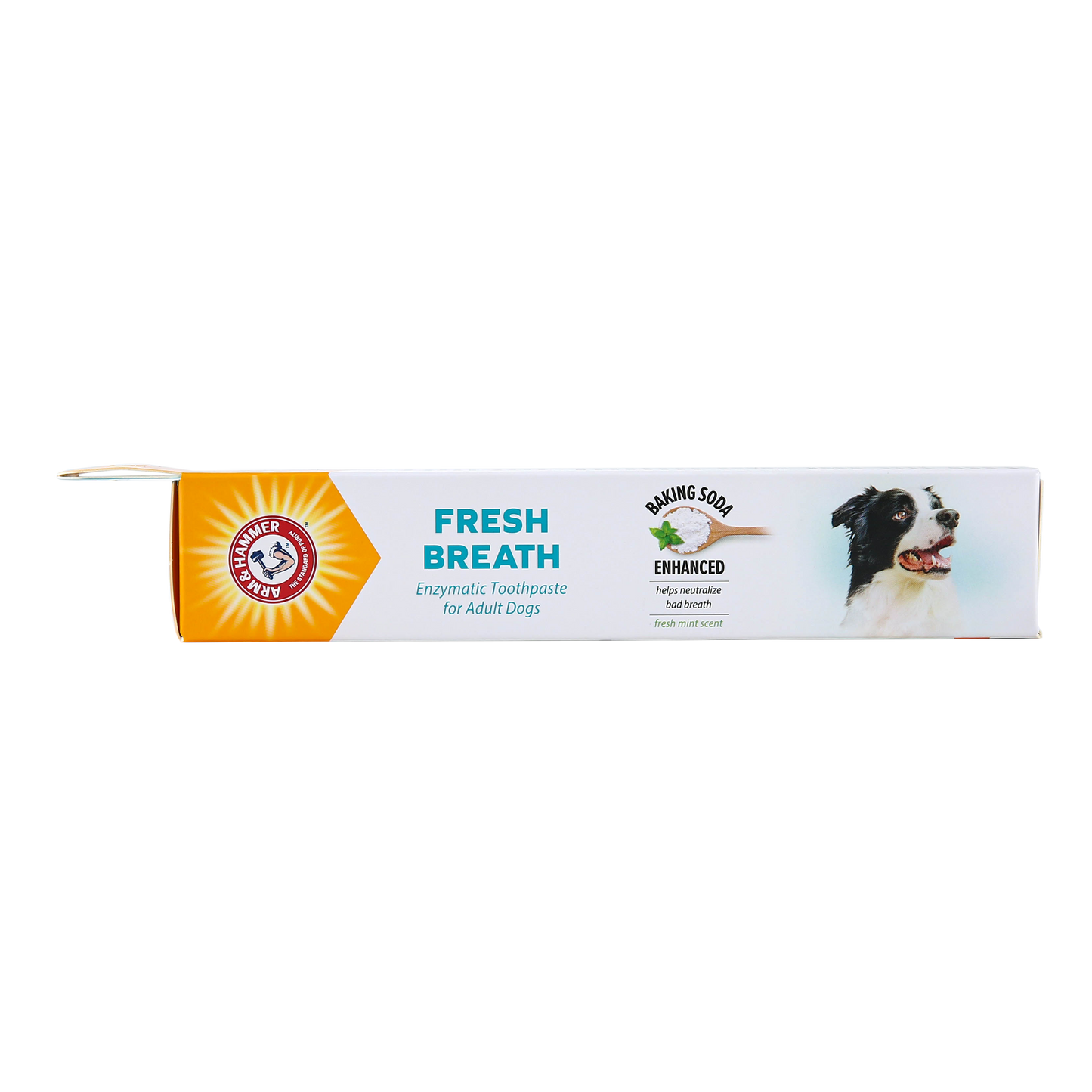 Arm & Hammer Fresh Breath Enzymatic Toothpaste for Dogs - Chicken Flavor (2.5 oz)