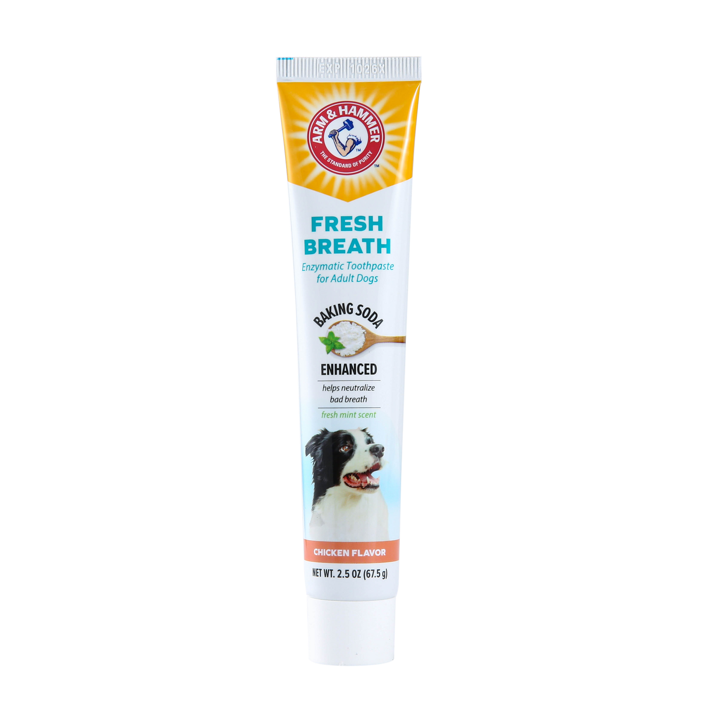 Arm & Hammer Fresh Breath Enzymatic Toothpaste for Dogs - Chicken Flavor (2.5 oz)