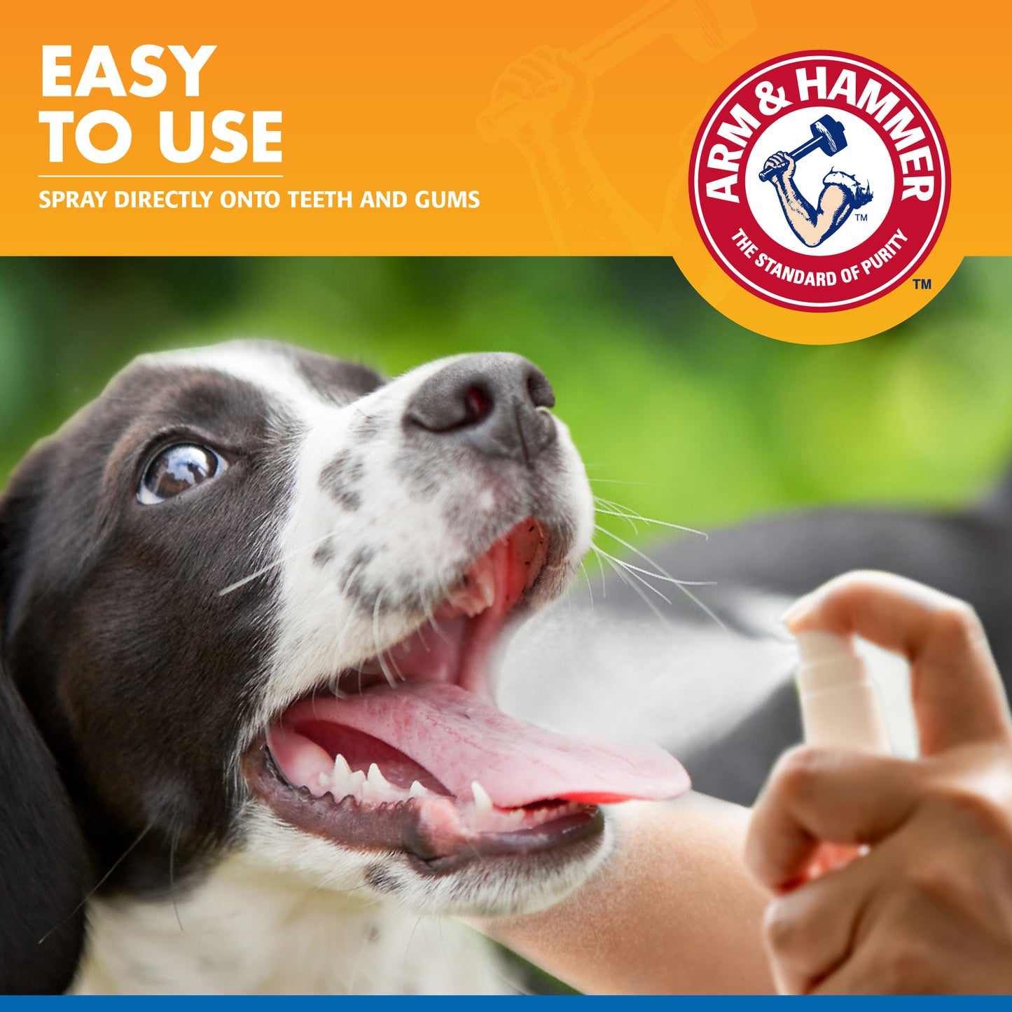 Arm & Hammer Tartar Control Dental Spray for Dogs - Mint Flavor (4 oz)