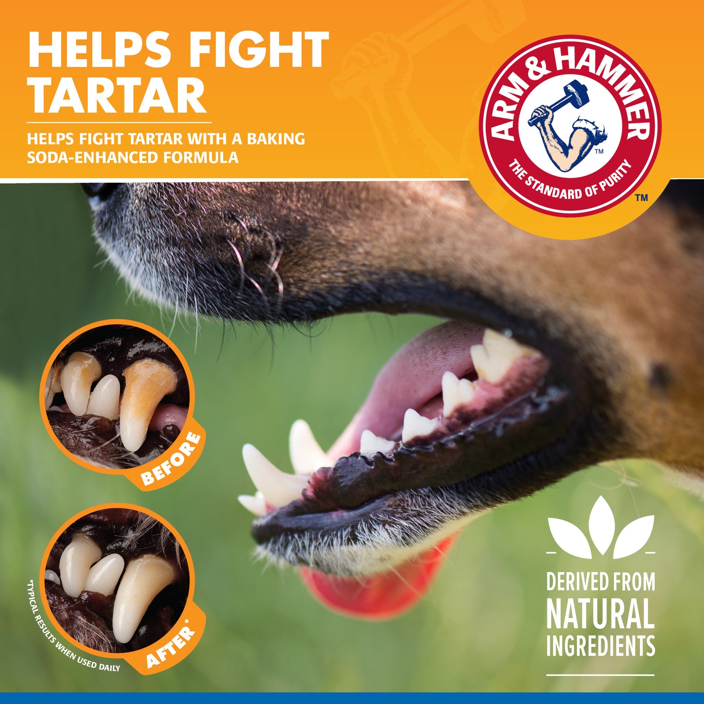Arm & Hammer Tartar Control Dental Spray for Dogs - Mint Flavor (4 oz)