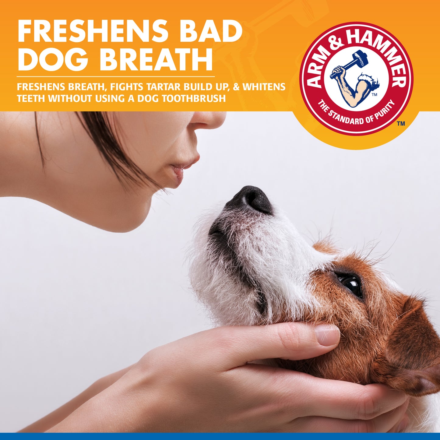 Arm & Hammer Tartar Control Dental Spray for Dogs - Mint Flavor (4 oz)