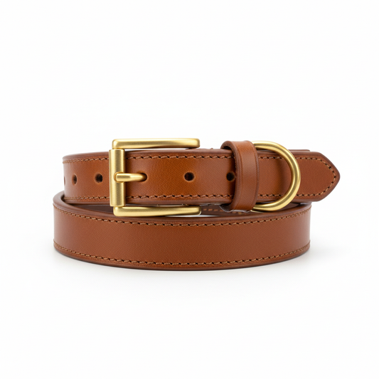 Premium Leather Dog Collar