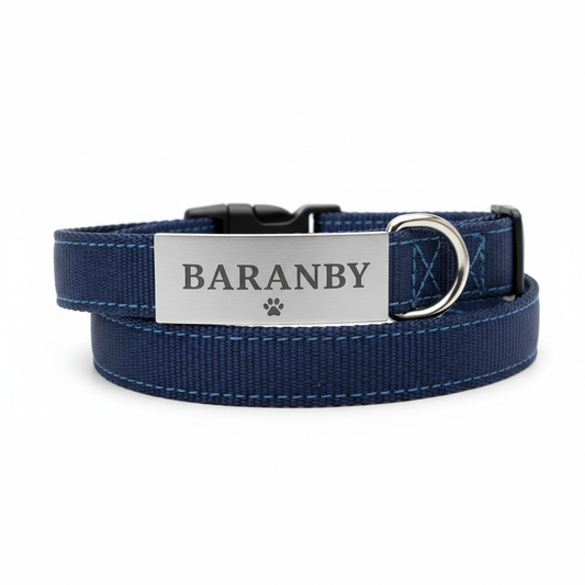 Personalized Dog Collar